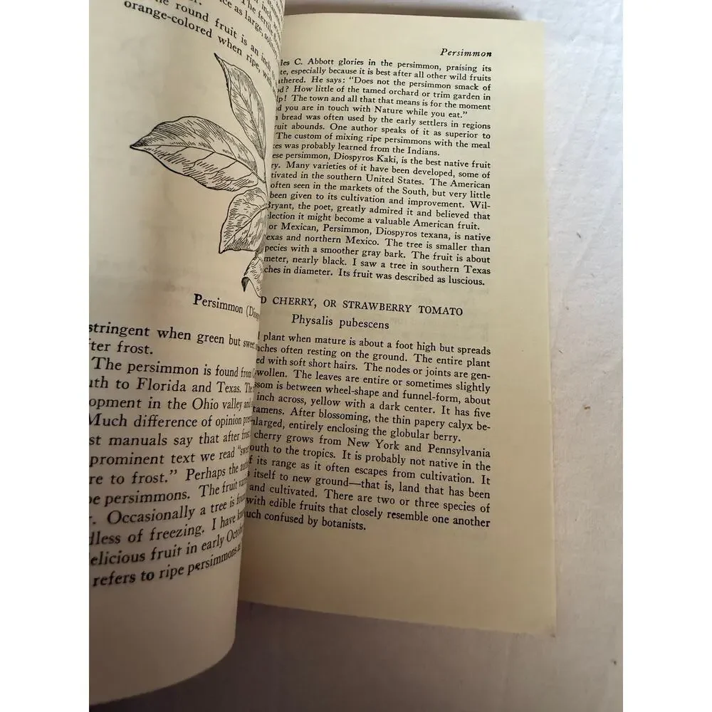Edible Wild Plants - Oliver Perry Medsger - 7th Printing - 1978 - Paperback
